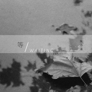 荣蓉广场舞紧身裤瑜伽裤
